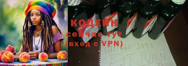 ECSTASY Алзамай