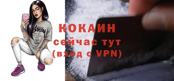 mdpv Инсар