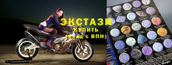 ECSTASY Алзамай