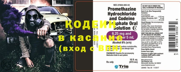 ECSTASY Алзамай