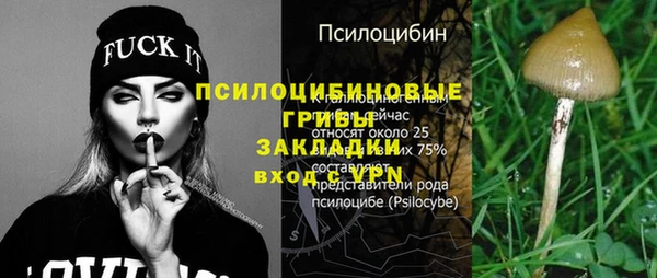 твердый Абинск