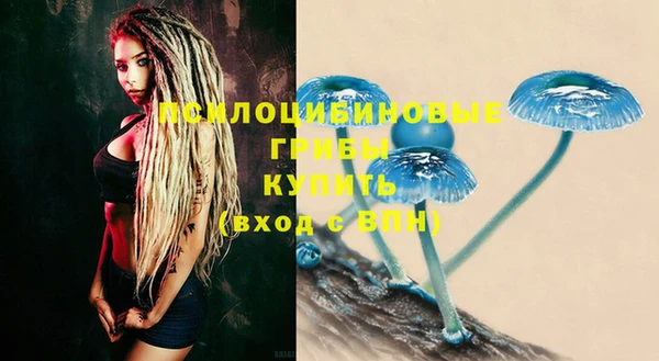 ECSTASY Алзамай